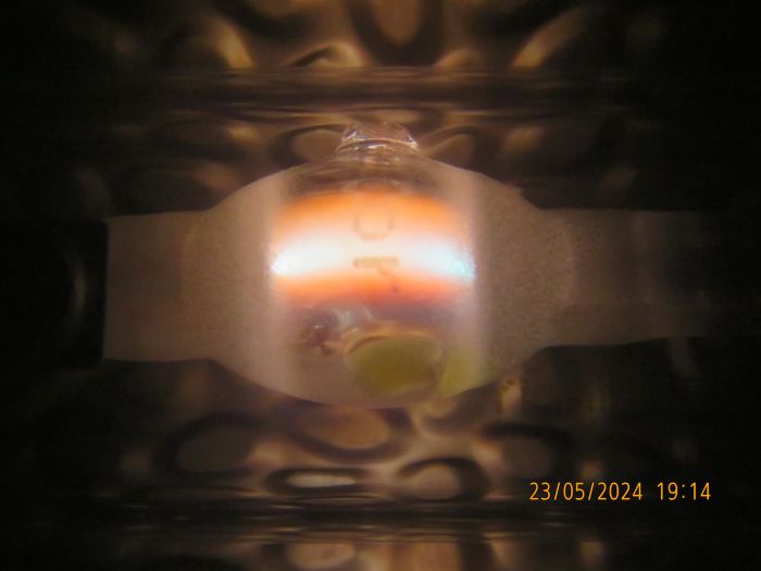 BLV HIT-DE 70W "Orange" MH lamp
The mercury pressure seems to be way high that the entire core of the arc is white mercury, while only the outer layers are sodium orange
