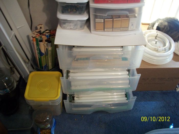 my collections
Here my drawer with separated F14T12, & F15T12, and F15T8 collections
Keywords: Lamps