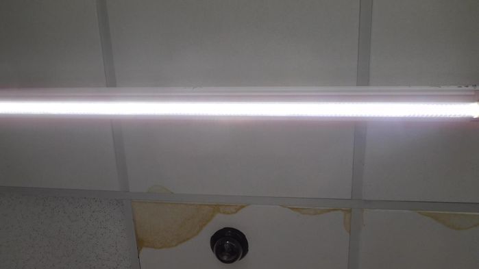 LED tube in Fluorescent
Pure white!
Keywords: Lamps
